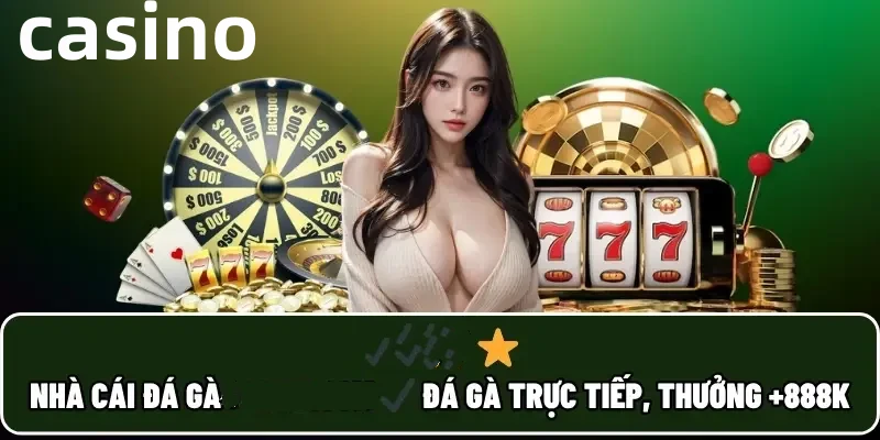 vay88